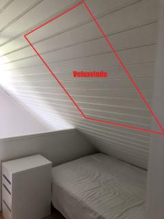 Image from job nr 1