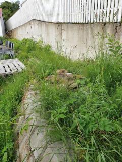 Image from job nr 2
