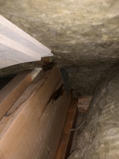Image from job nr 2