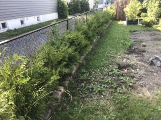 Image from job nr 3