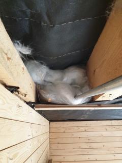 Image from job nr 1