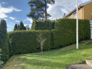Image from job nr 1
