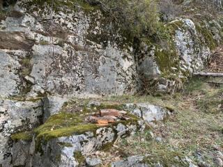 Image from job nr 2