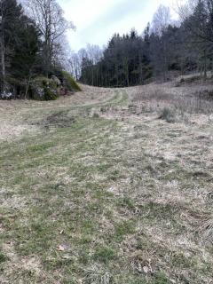 Image from job nr 6