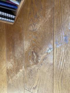 Image from job nr 1