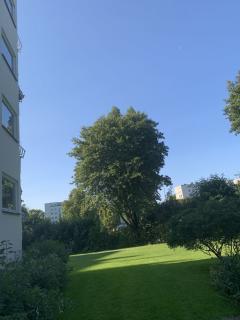 Image from job nr 2
