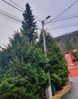 Image from job nr 1
