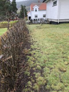 Image from job nr 1