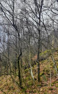Image from job nr 6