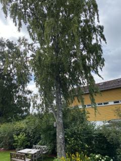 Image from job nr 2
