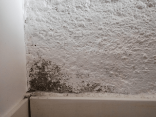 Image from job nr 1