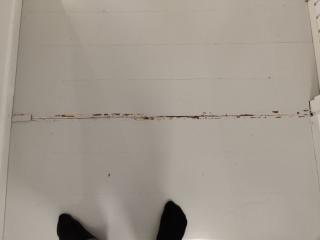 Image from job nr 2