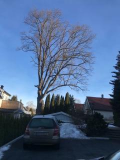Image from job nr 1