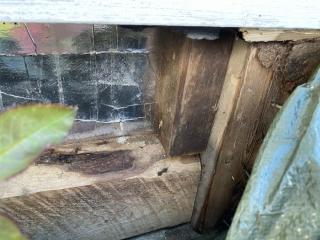 Image from job nr 4