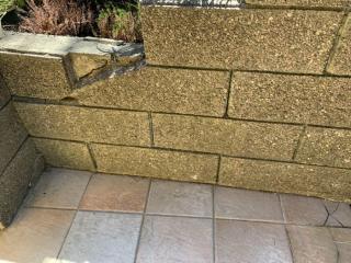 Image from job nr 2