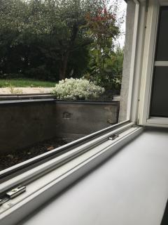 Image from job nr 2