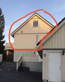 Image from job nr 1