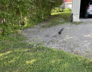 Image from job nr 3