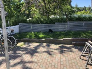 Image from job nr 1