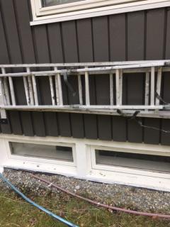 Image from job nr 2