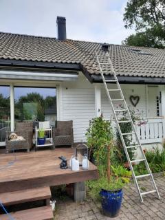 Image from job nr 1