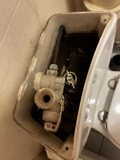 Image from job nr 5