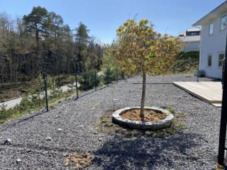 Image from job nr 4