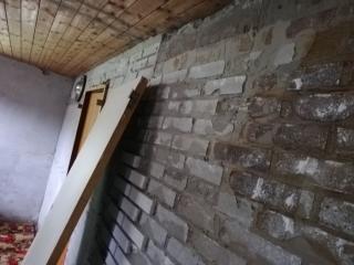 Image from job nr 2