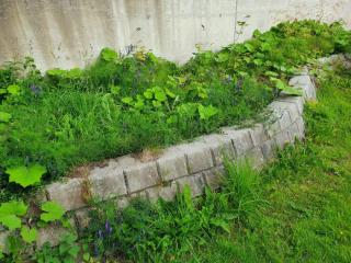 Image from job nr 1
