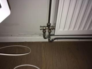 Image from job nr 1