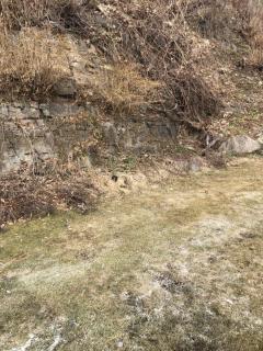 Image from job nr 1