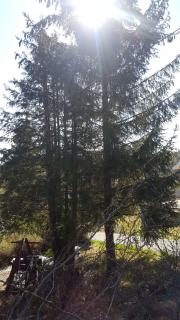 Image from job nr 6