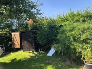 Image from job nr 1