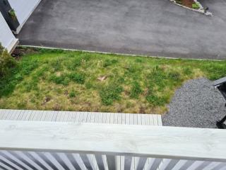 Image from job nr 1