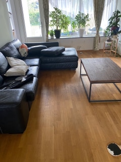 Image from job nr 3