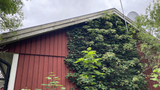 Image from job nr 1