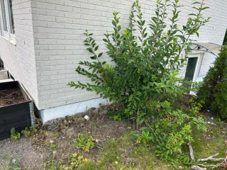 Image from job nr 1