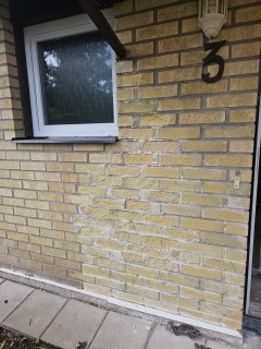 Image from job nr 1