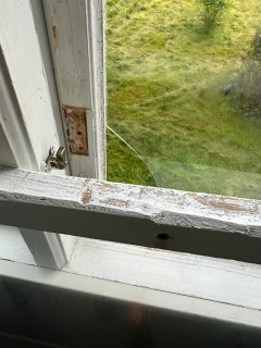 Image from job nr 1