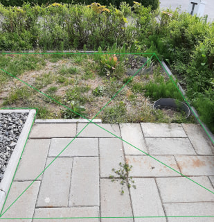 Image from job nr 4