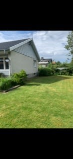 Image from job nr 1