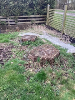 Image from job nr 2