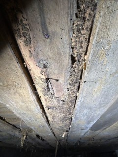 Image from job nr 1