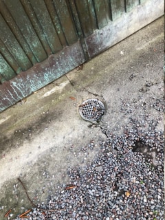 Image from job nr 1