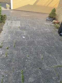 Image from job nr 1