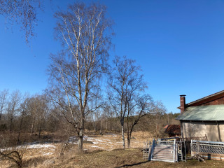 Image from job nr 1