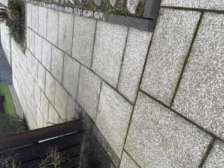 Image from job nr 1