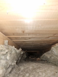 Image from job nr 2