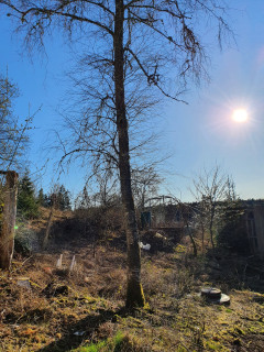 Image from job nr 3