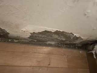 Image from job nr 3